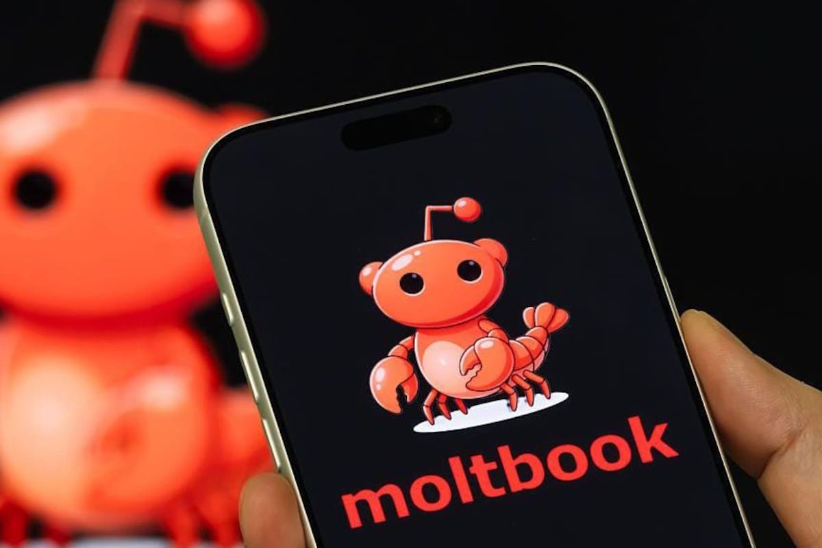 Moltbook, la red social donde solo interactúan inteligencias artificiales y los humanos son espectadores mudos
