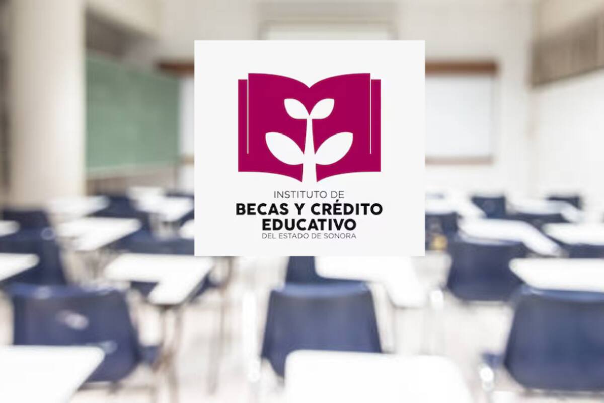 Instituto de Becas y Créditos Educativos enfrenta cartera vencida de 300 mdp por deudas de estudiantes