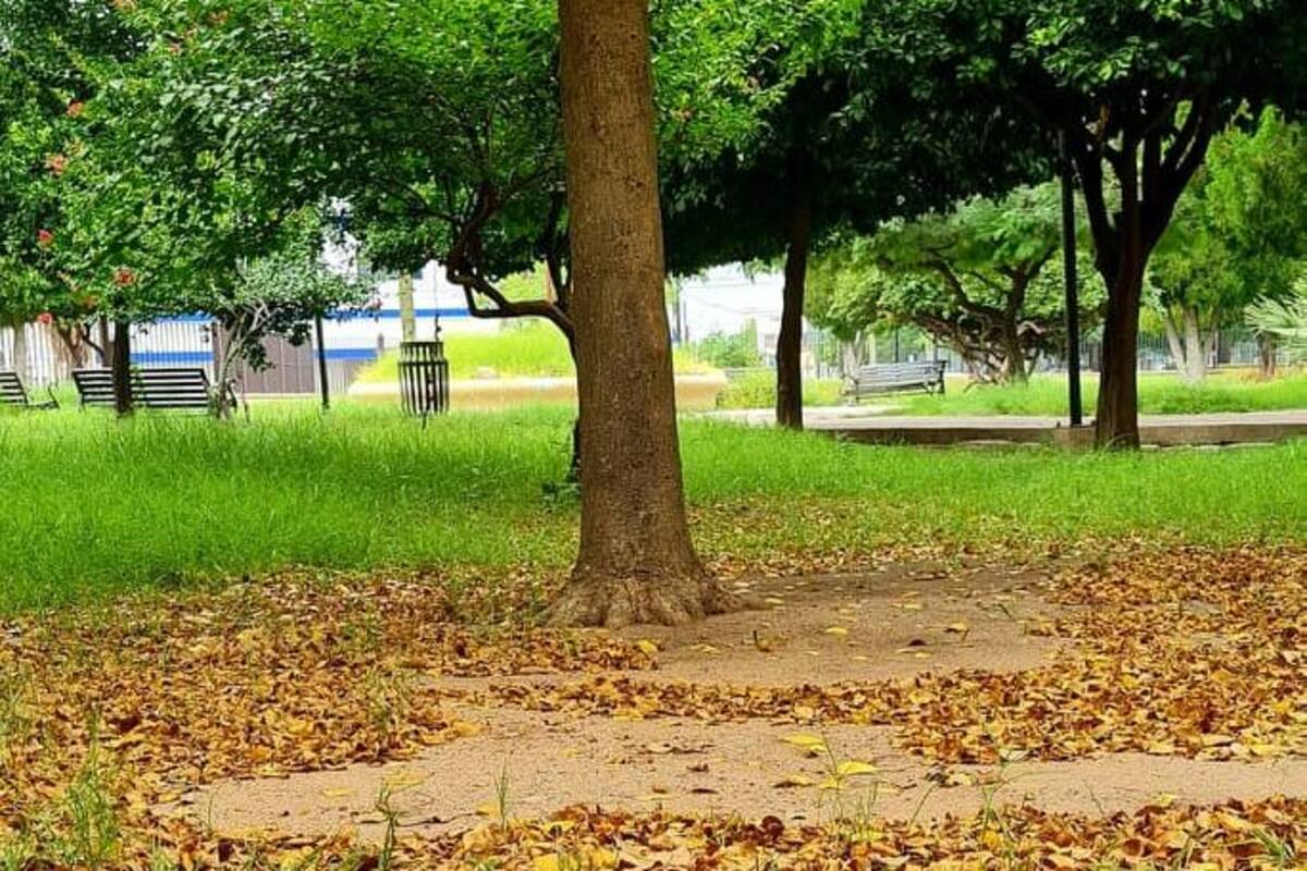 Clima en Sonora: Llega el Otoño y ¡adiós! a las temperaturas máximas de 40°C