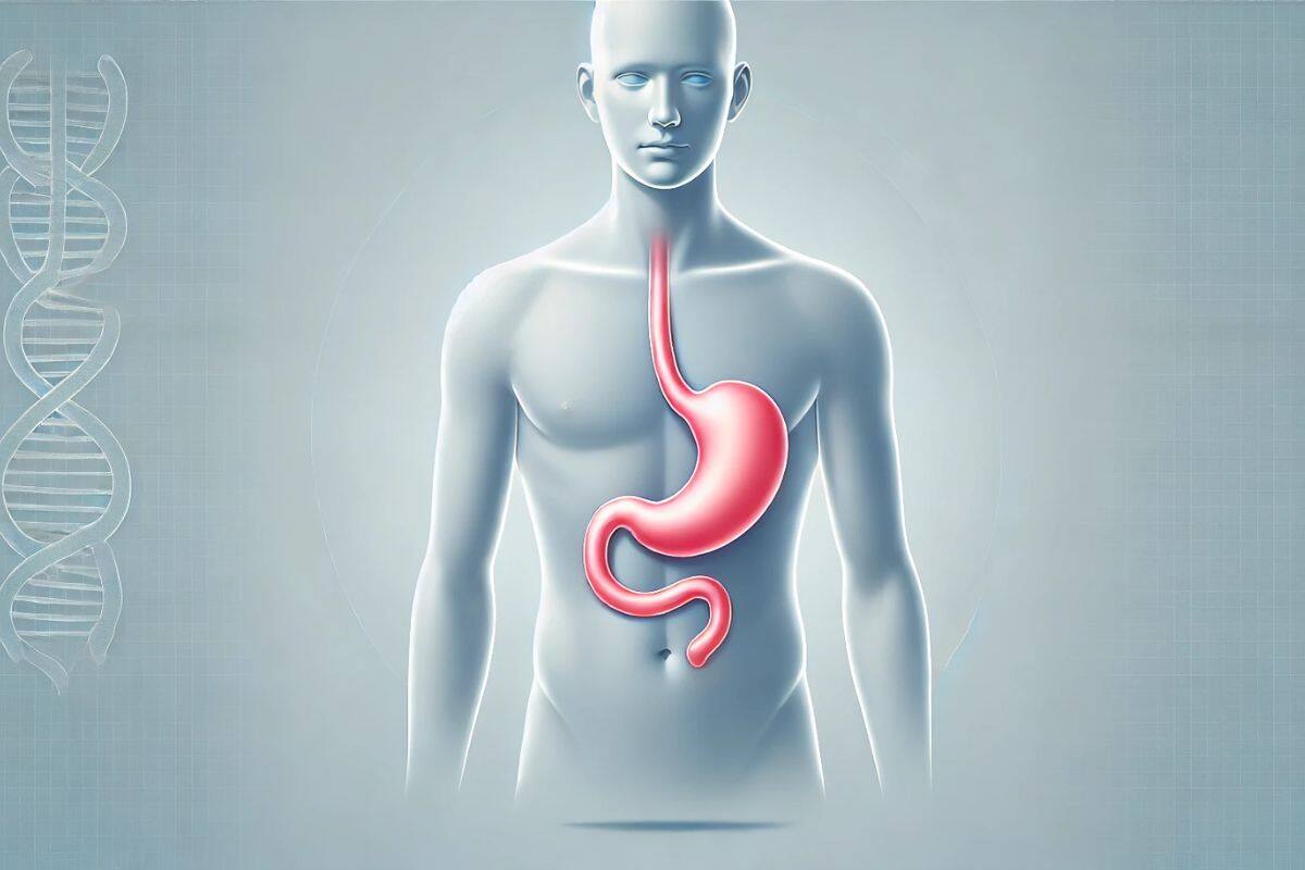 ¿Sabías que el estómago humano se regenera cada ciertos días? Conoce la importancia de este proceso