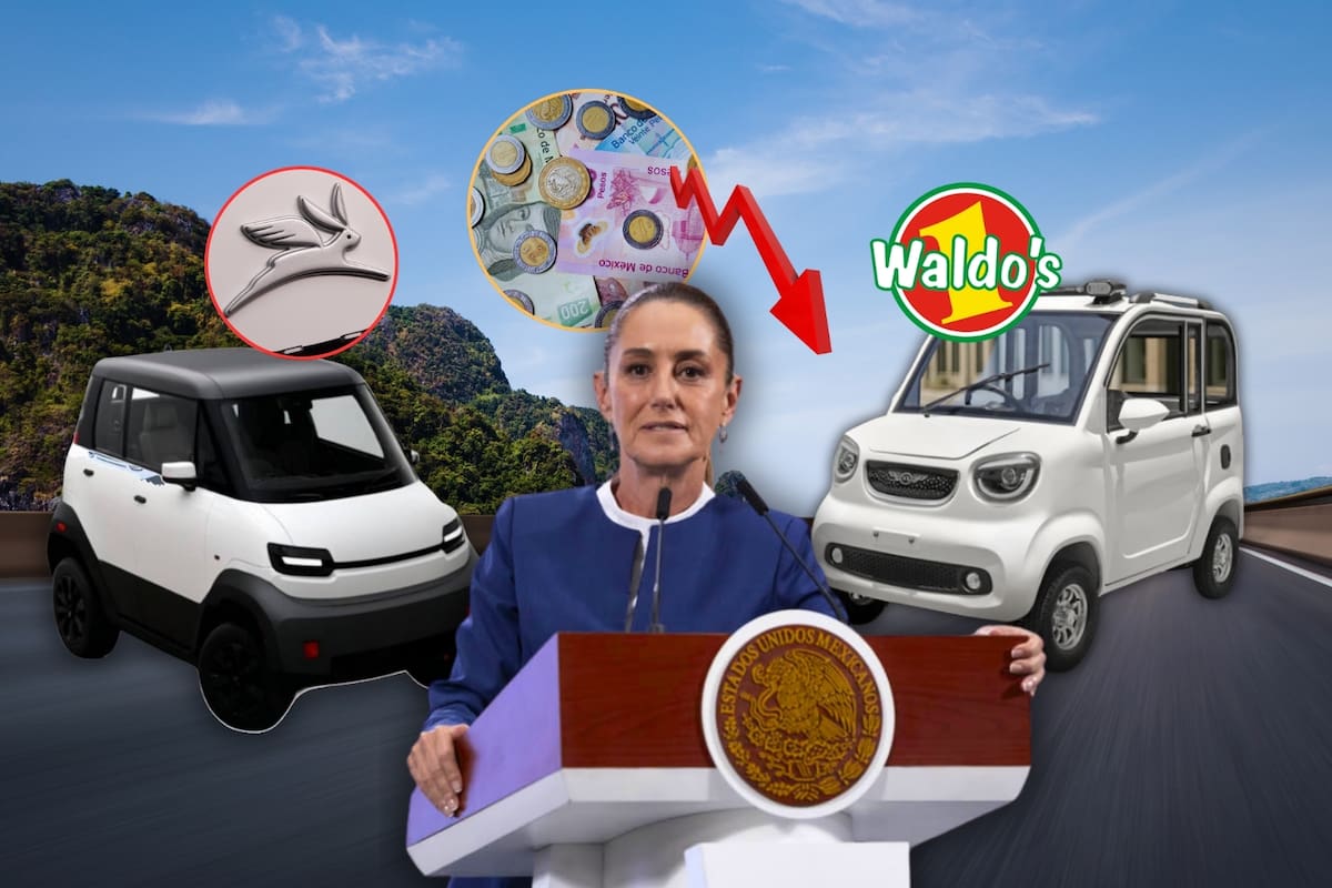 Olinia vs Kiwo E5, el carrito de Waldo’s: ¿Cuál sería el auto eléctrico más barato en México?