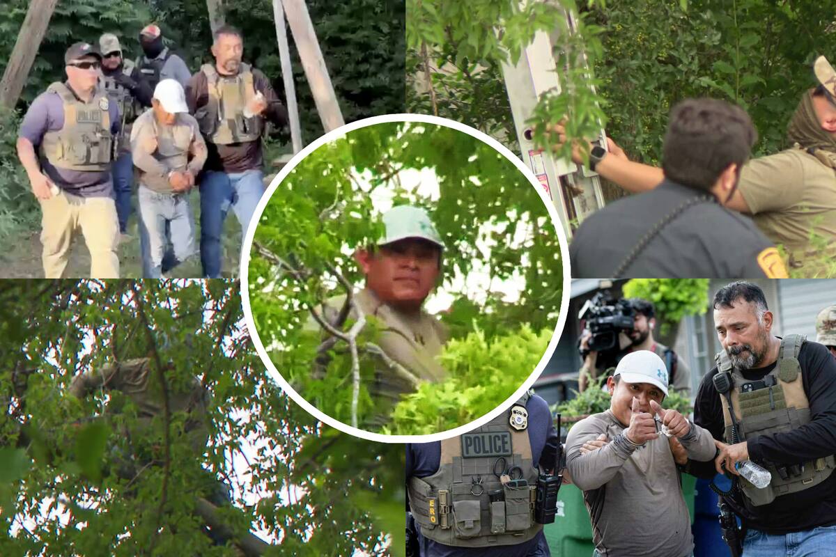 Migrante guatemalteco pasa ocho horas en un árbol para evitar arresto en Texas