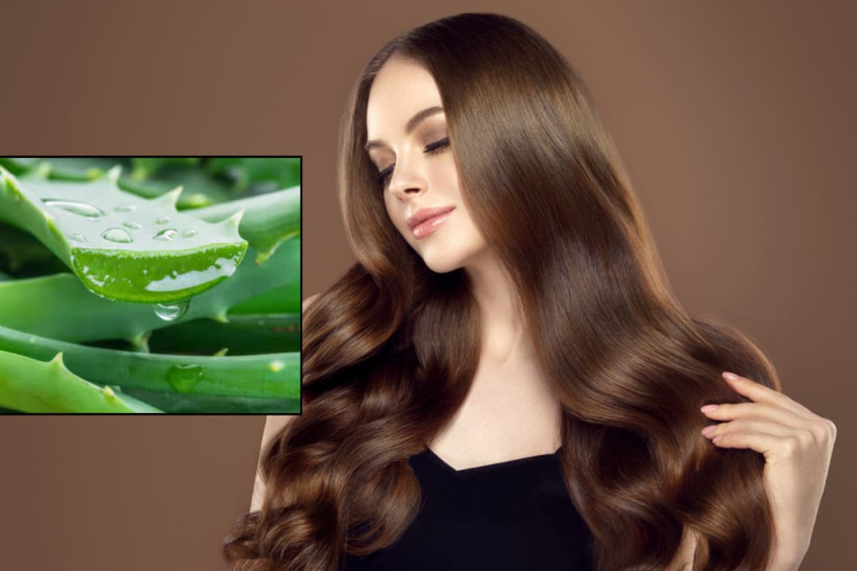 3 mascarillas caseras con aloe vera para hidratar tu cabello en esta temporada