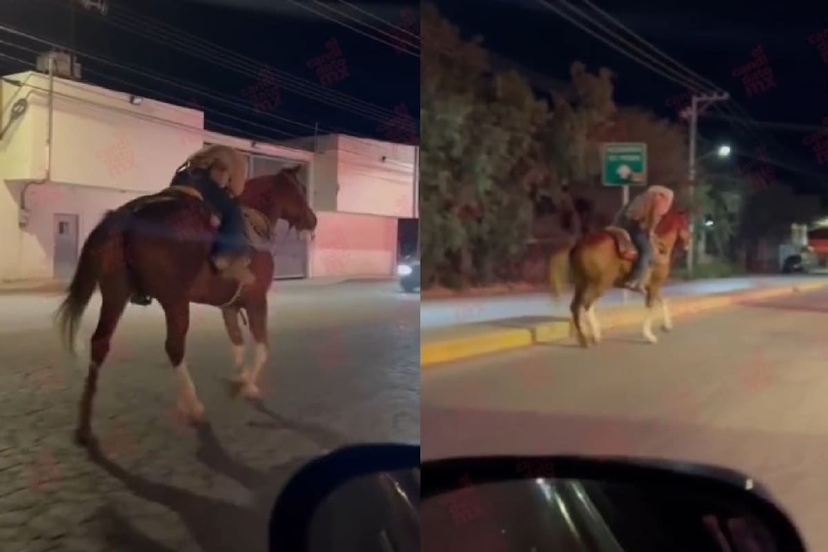 Caballo “GPS” Jinete borracho es llevado a casa por su fiel montura en San Luis Potosí