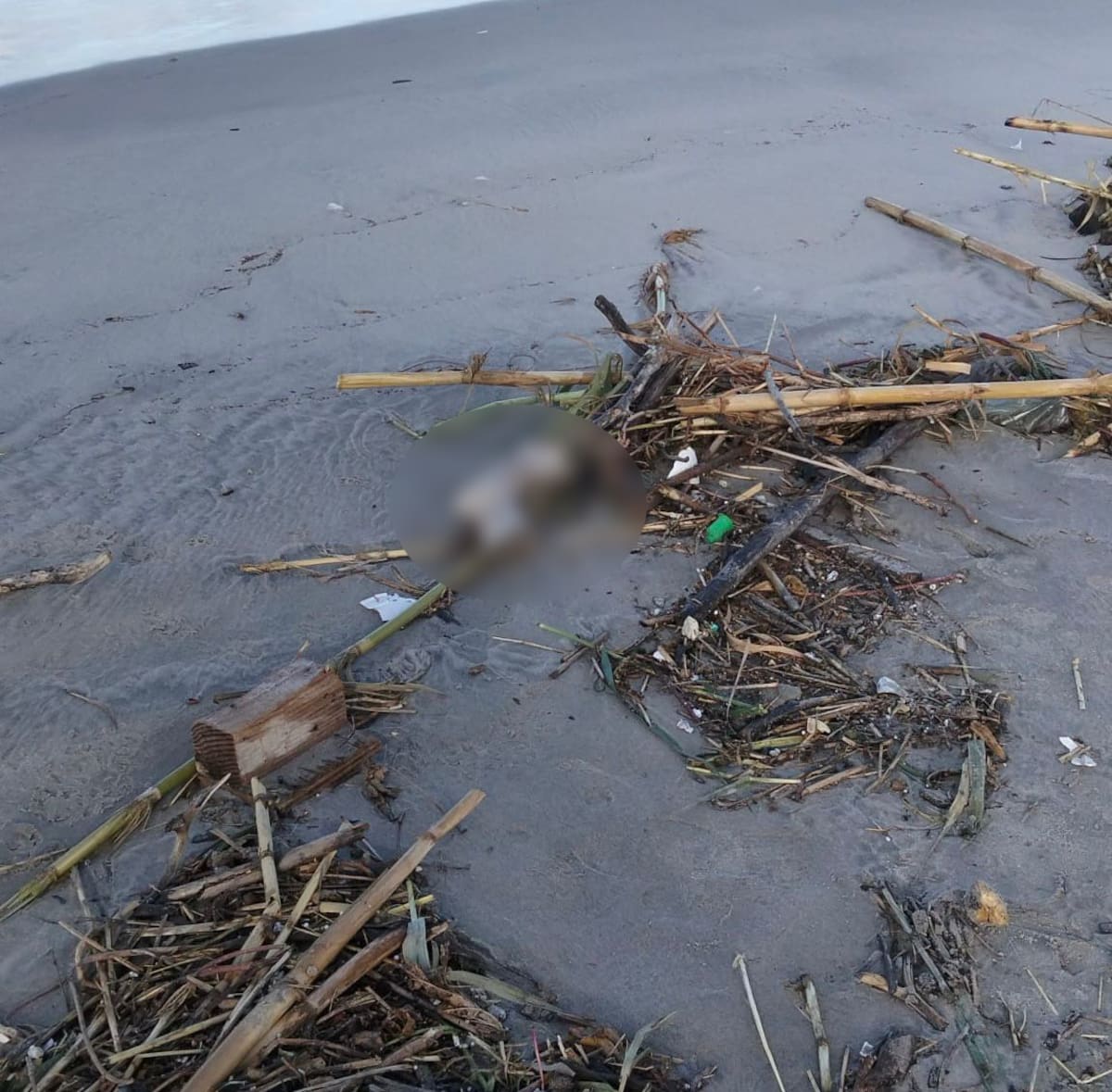 La escena fue asegurada y se solicitó la intervención de la policía de Investigación. Foto: Cortesía