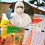 Confirman nuevo brote de ébola en África: suman 65 muertes y 256 sospechosos