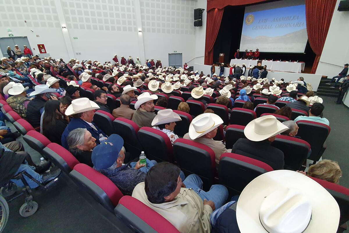 Ganaderos de Hermosillo tienen nuevo presidente