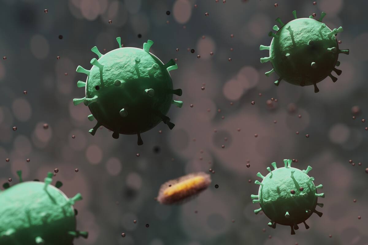 Qué hacer si la prueba de coronavirus sale positiva