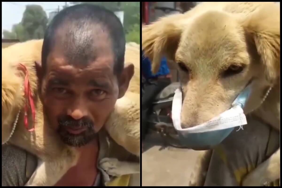 Hombre se quita su cubrebocas y se lo pone a su perrito para protegerlo