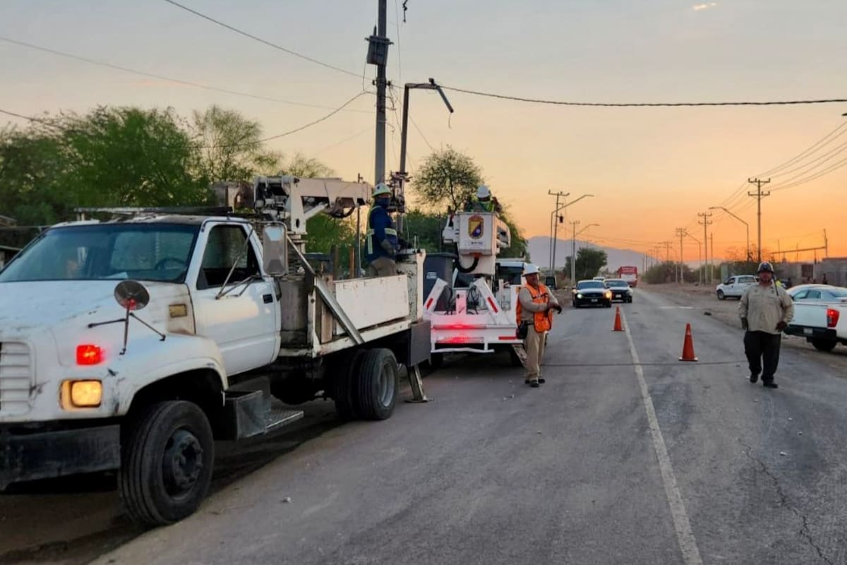 Tras tormentas del viernes, atienden 22 reportes por árboles y ramas caídas en Mexicali