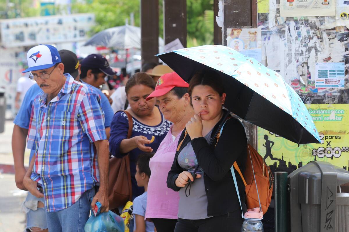 Clima en México: Pronostican más de 45 °C en hasta 7 estados