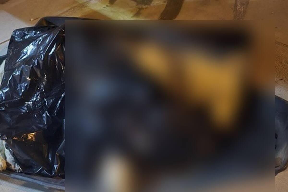 Pareja acusada de envenenar seis perros en SLRC es vinculada a proceso, pero evita detención con amparo