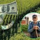 Agricultor de 86 años rechazó más de 255 millones de pesos que una empresa de inteligencia artificial le ofrecía por sus 105 hectáreas y vendió la propiedad por 32 millones para preservar uso agrícola