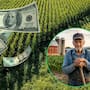 Un agricultor de 86 años rechazó más de 255 millones de pesos que una empresa de inteligencia artificial le ofrecía por sus 105 hectáreas y vendió la propiedad por 32 millones para preservar uso agrícola
