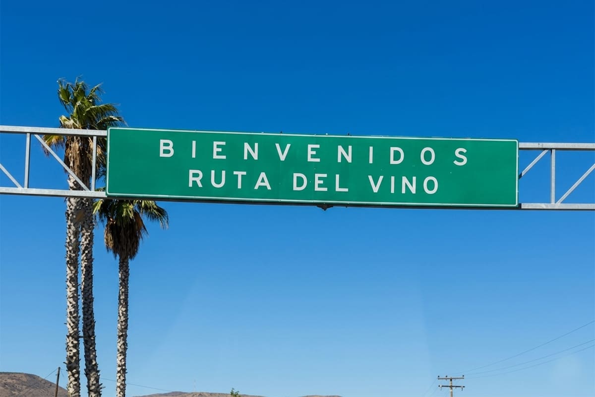 Valle de Guadalupe enfrenta retos de movilidad, costos y percepción turística