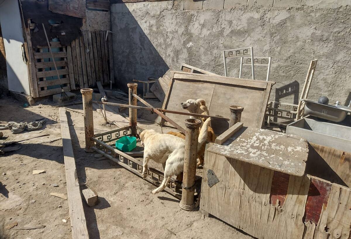 La casa donde se realizó el cateo se ubica en El Florido III.