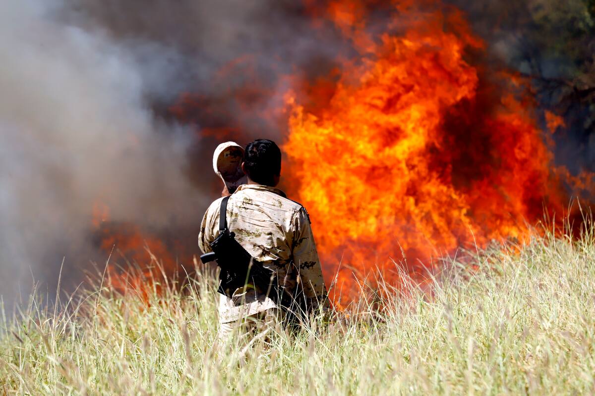 Incendios en la Tierra ocurren desde antes de la humanidad