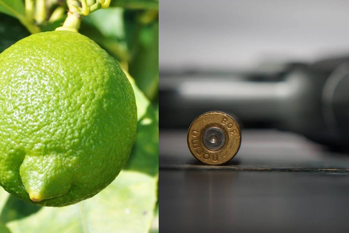 Paro laboral y manifestaciones mantienen limoneros en Michoacán tras asesinato de un empresario
