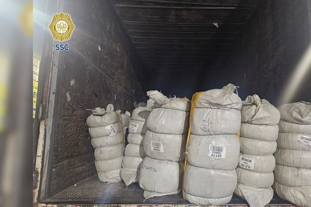 Autoridades de la CDMX detuvieron un camión con 100 bultos de mochilas sin etiquetas ni papeles válidos en la alcaldía Cuauhtémoc, en uno de los operativos contra mercancía ilegal en el Centro Histórico