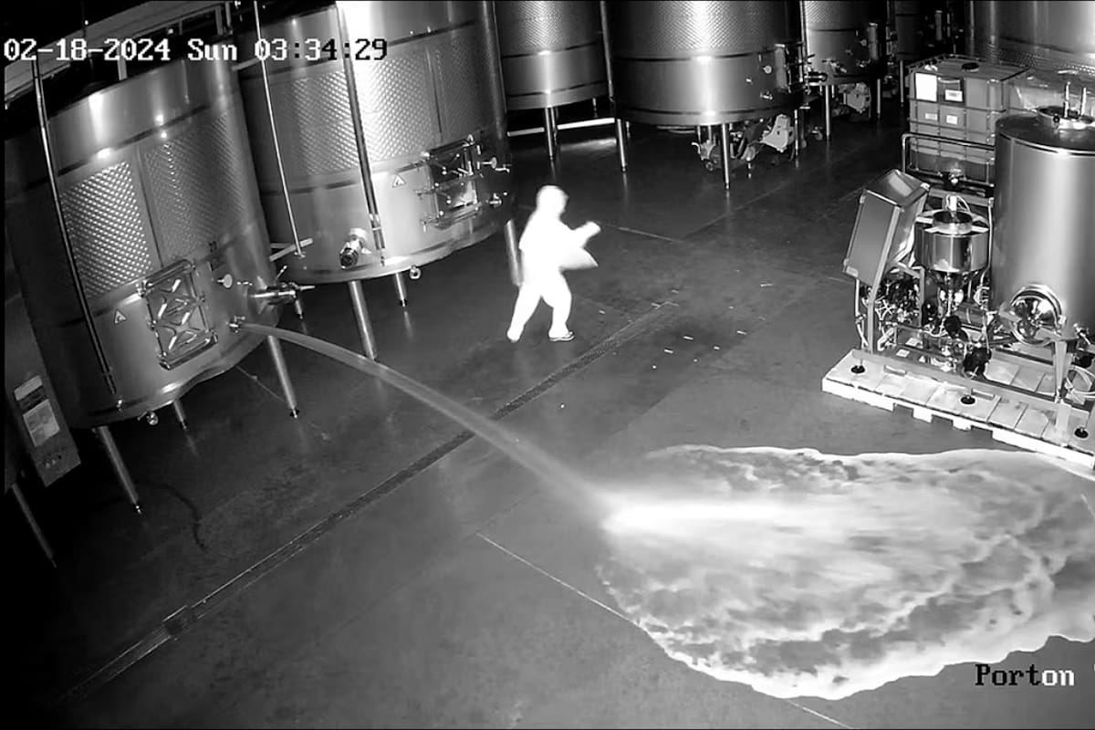 Más de 60 mil litros de vino se pierden en asalto a bodega en España; acusan sabotaje