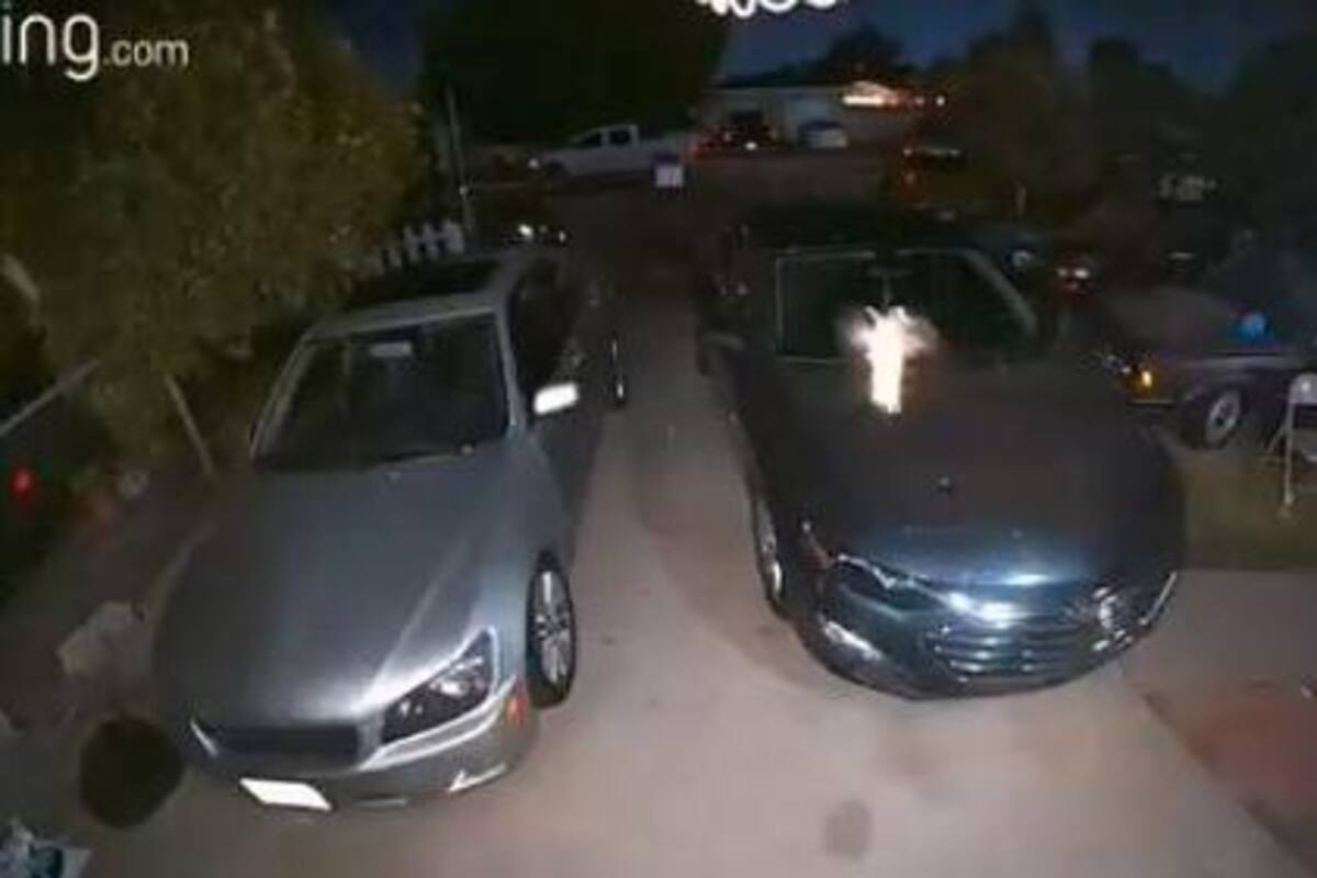 Extraña criatura aparece en video ¡parece hada!