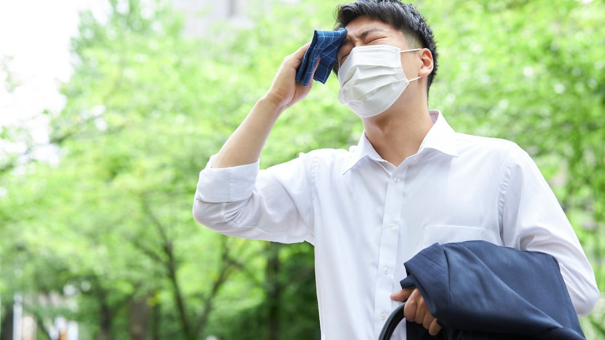 Descubre cómo afecta el calor extremo al cerebro | Foto: Especial