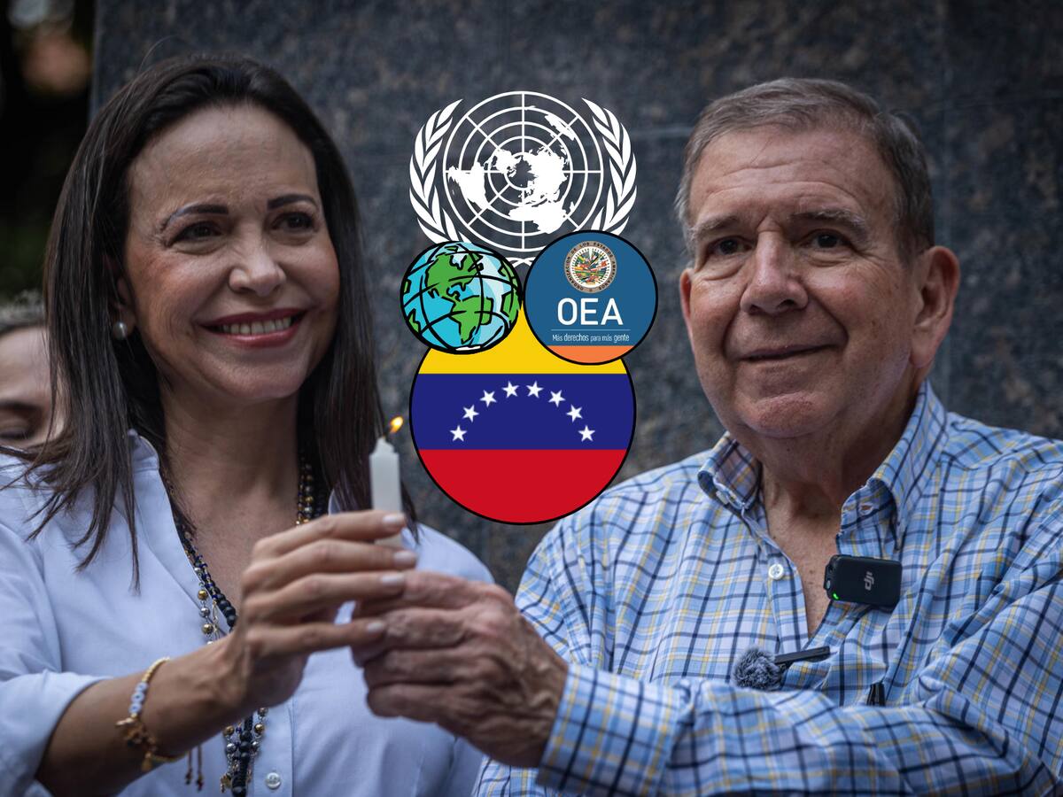 La OEA calificó de "repudiable" la represión chavista contra Edmundo González. | Crédito: EFE