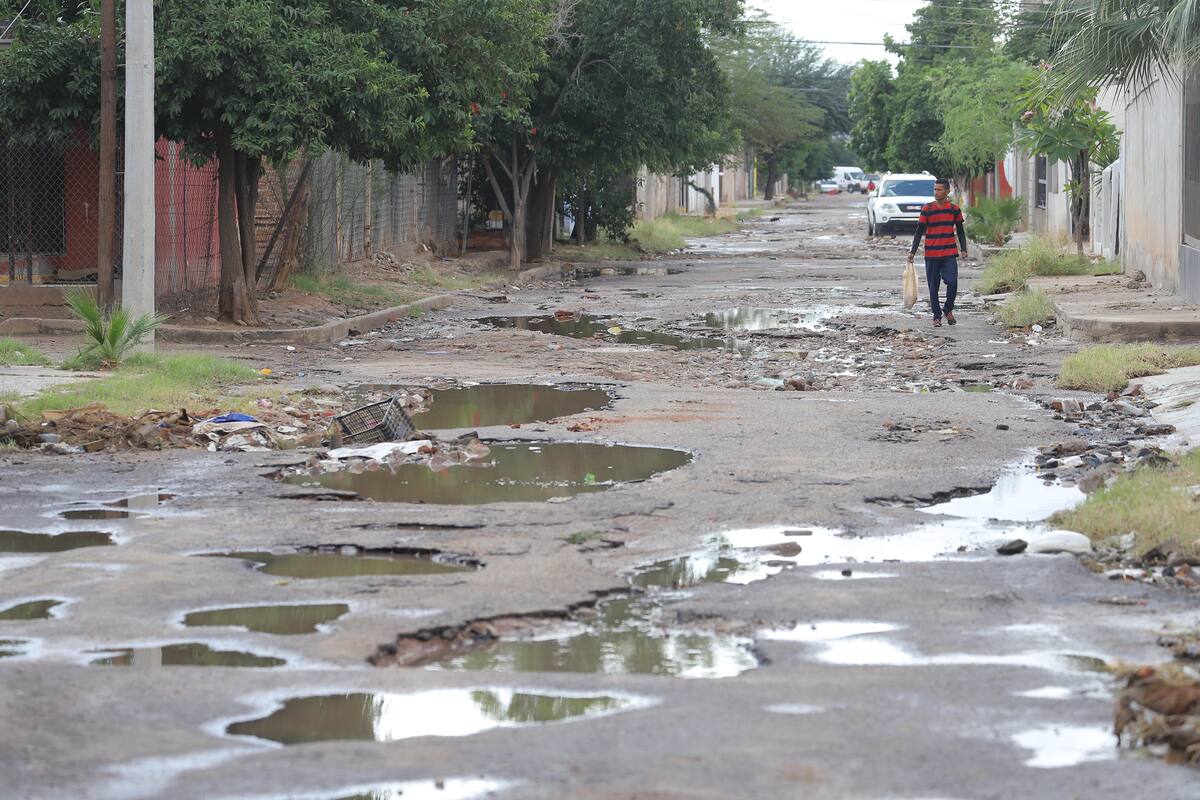 "Llueven" reportes de baches a Cidue