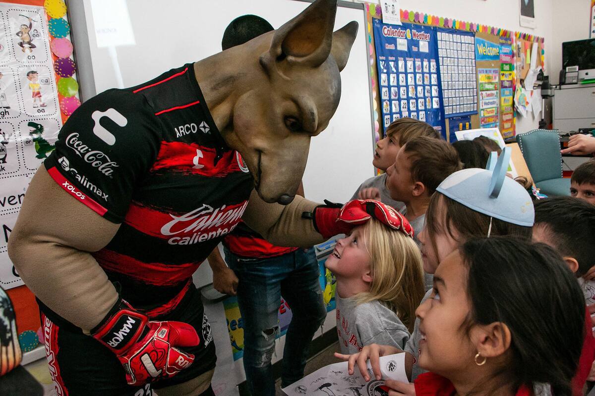 ‘Xolo Mayor’ se va con el Querétaro