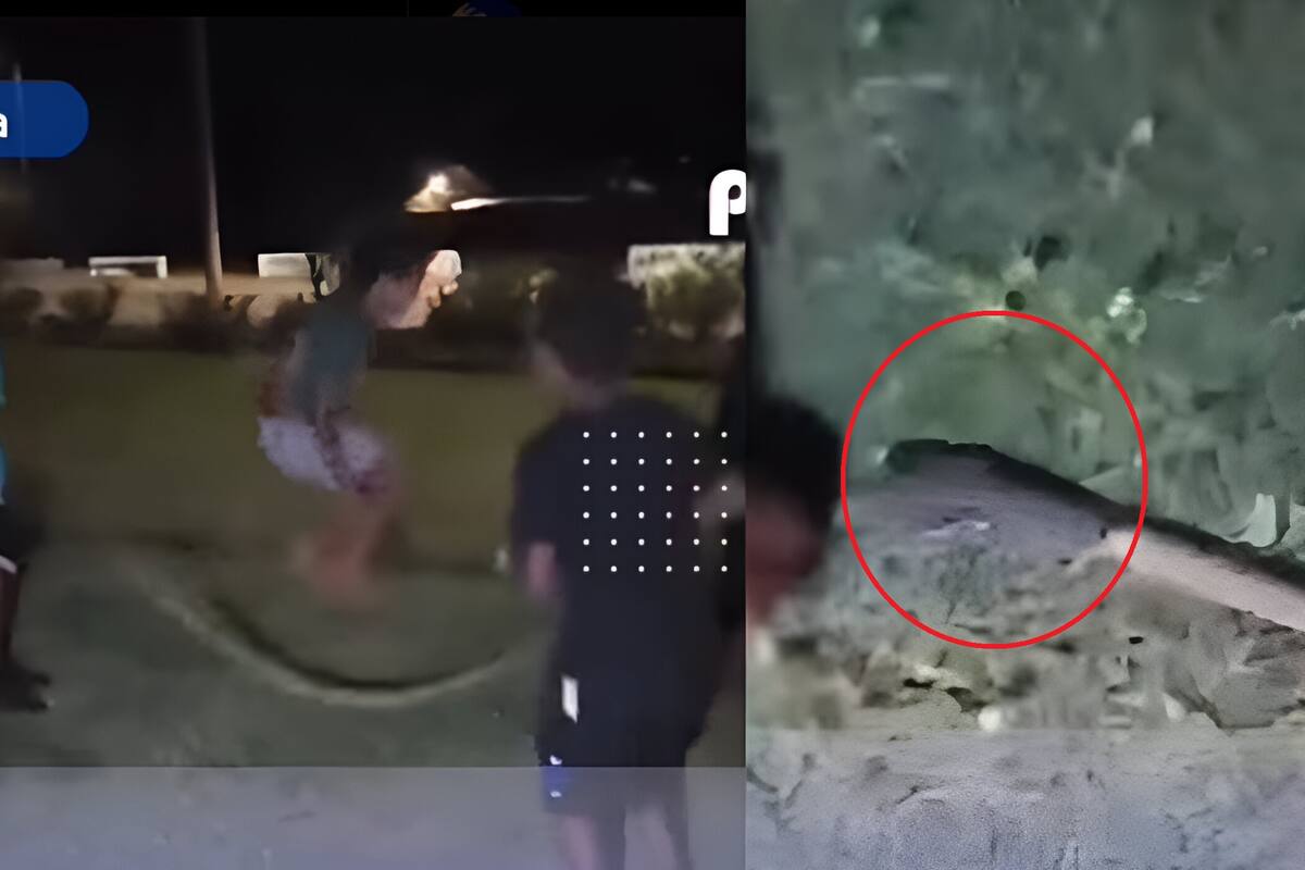 Impresionante: Niños usan una pitón como cuerda para saltar