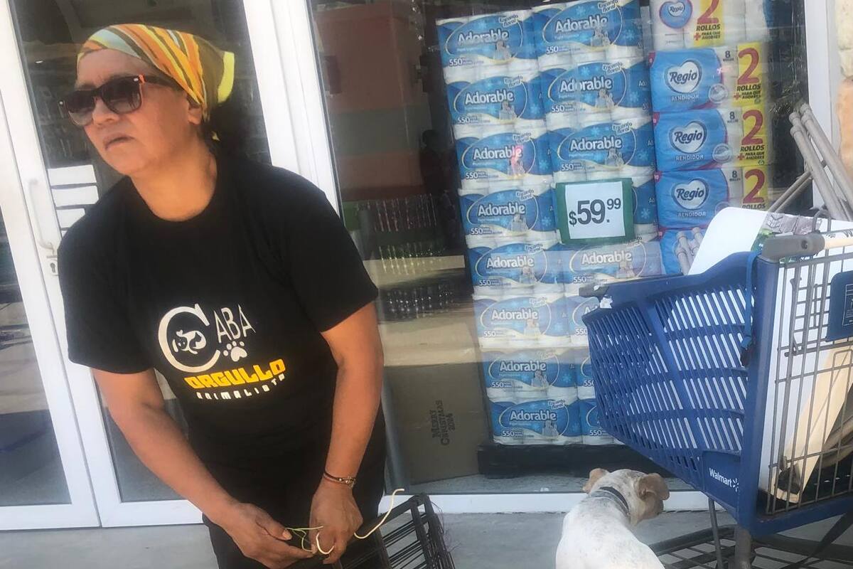 Solicitan animalistas no realizar campañas de recolección de perros callejeros