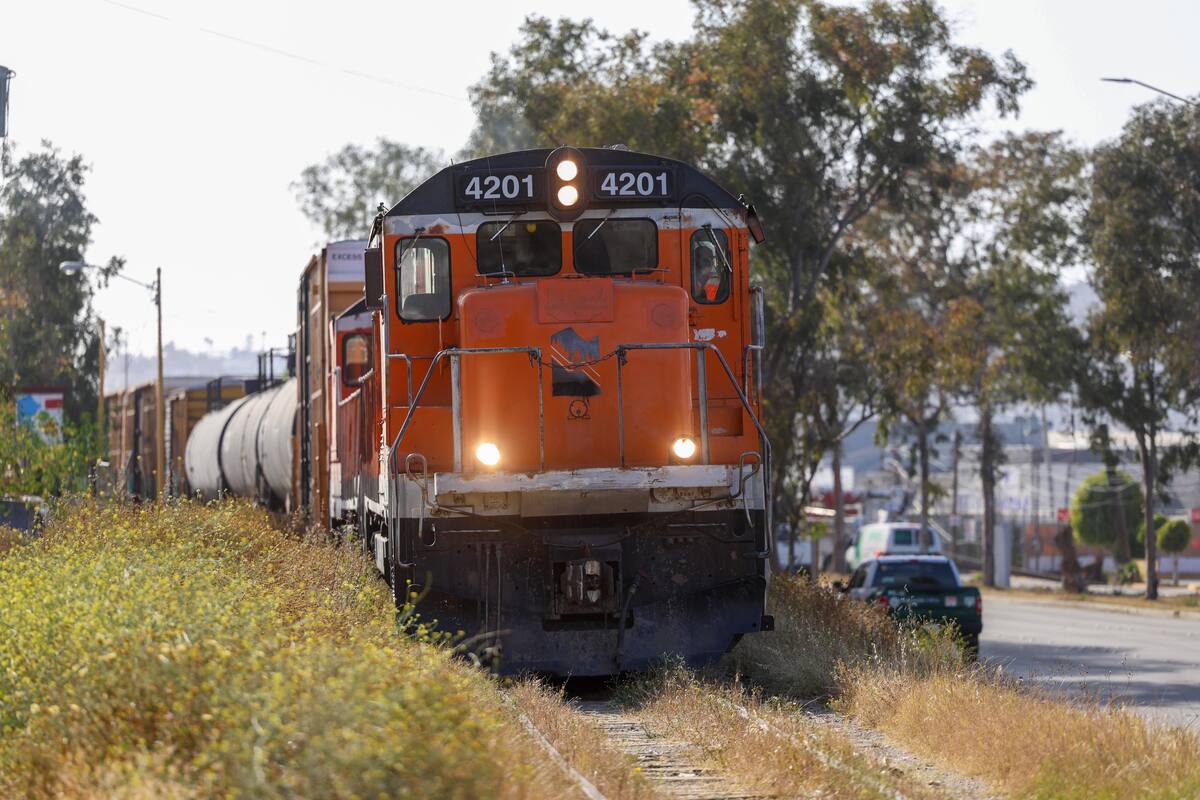 El tren de carga derribó cables y postes a su paso.