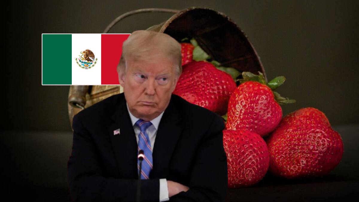 EEUU reaccionó contra México investigando a las fresas mexicanas por presuntos precios desleales tras las indagatorias hacia manzanas estadounidenses