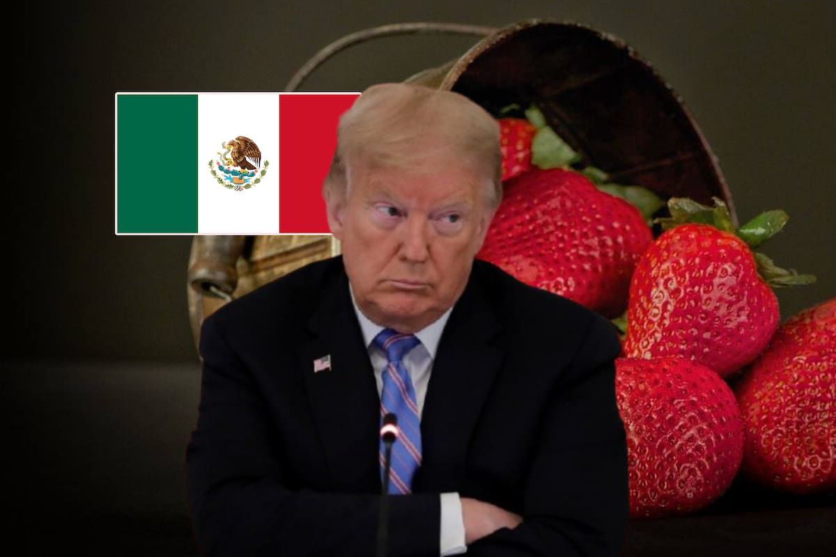 EEUU reaccionó contra México investigando a las fresas mexicanas por presuntos precios desleales tras las indagatorias hacia manzanas estadounidenses