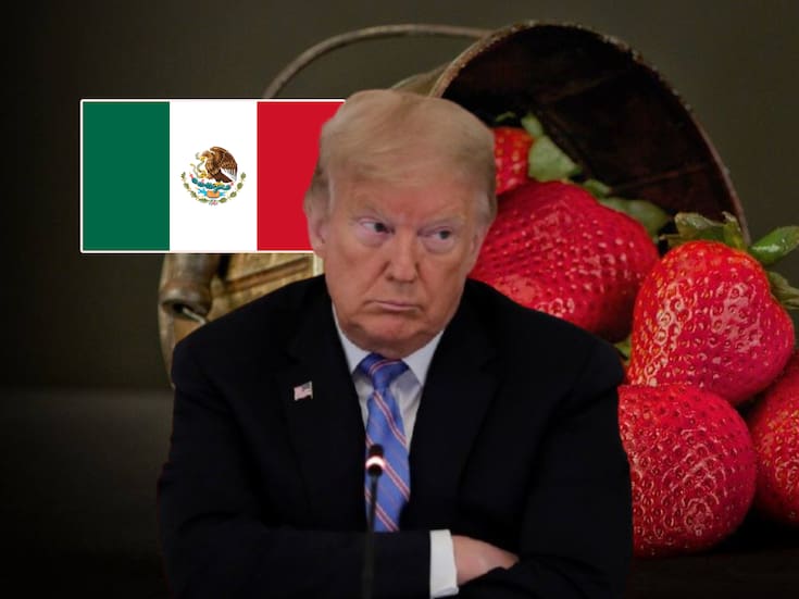 EEUU reaccionó contra México investigando a las fresas mexicanas por presuntos precios desleales tras las indagatorias hacia manzanas estadounidenses