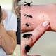 Calor y lluvias aumentan las picaduras de insectos: esta guía te ayuda a distinguir si fue un mosquito, una araña, una chinche, una pulga o una hormiga