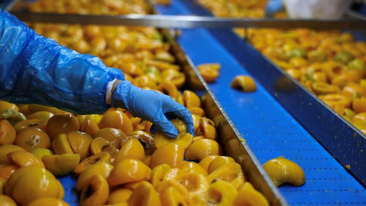 El cierre de la planta dejó pérdidas superiores a 550 millones de dólares y afectó a más de 140 agricultores. /Reuters