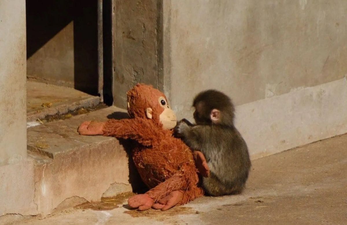 Foto: Especial X (@heavensbvnny)