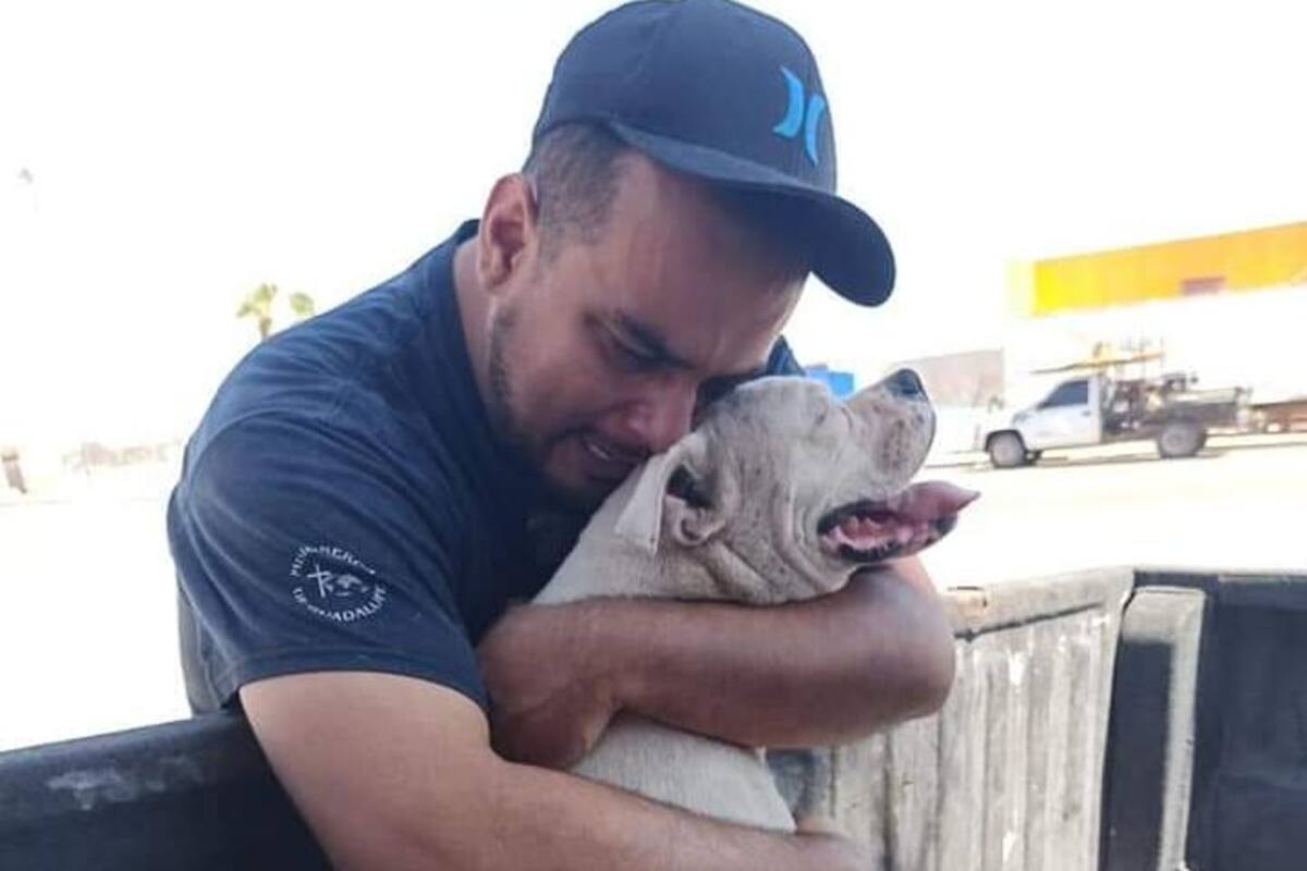 'Le seguía dando las gracias y diciéndole lo mucho que lo amé': Dueño de 'Mace'