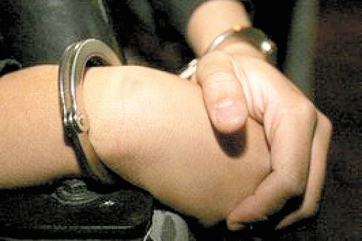 Adapta varilla con un imán para robar