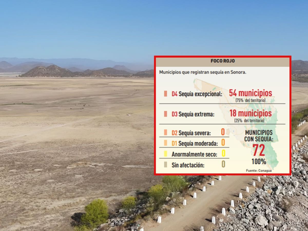 En la primera quincena de abril de este
año, 30 municipios de Sonora
registraron sequía extrema
(D3) y 42 sequía excepcional
(D4), según Conagua. | Especial