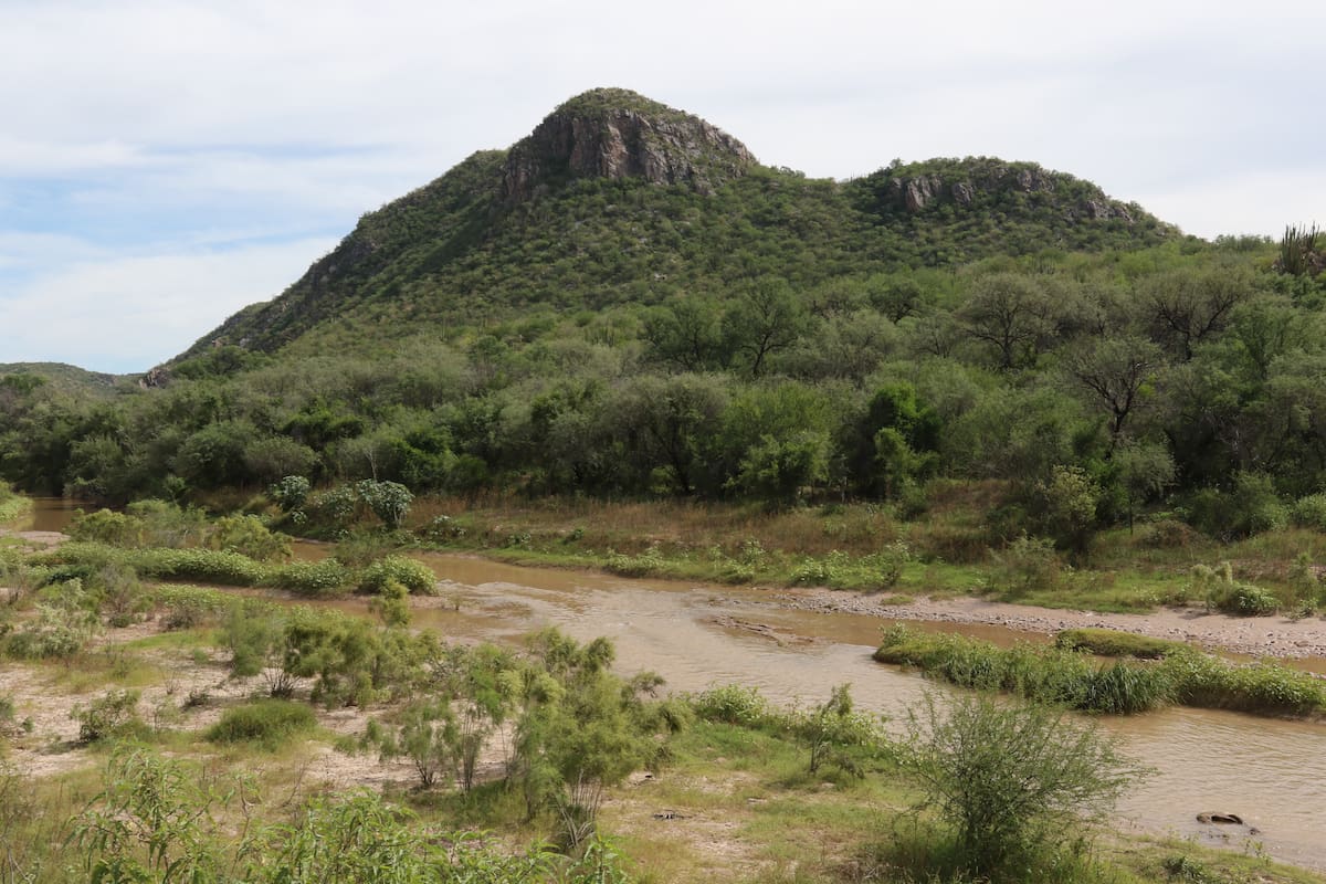 Hallan contaminantes que causan cáncer en el Río Sonora