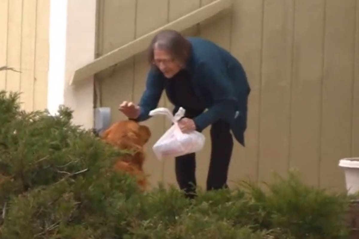 Perro entrega despensa a la vecina de su dueña en cuarentena por Covid-19
