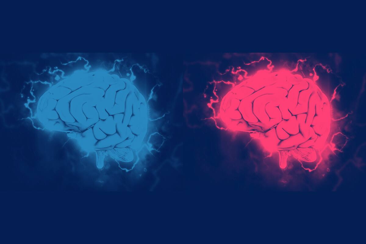 ¿Qué tan diferentes son los cerebros de los conservadores y los liberales?