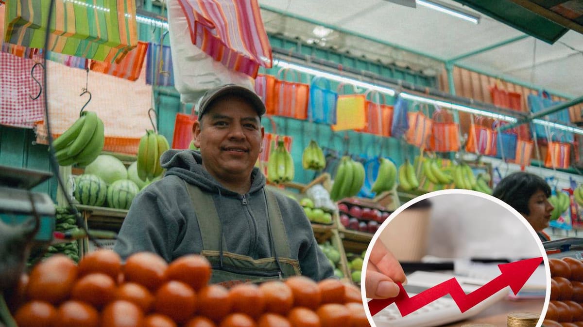 ¿Por qué el tomate cuesta desde 15 hasta 98 pesos por kilo? Profeco identifica fallas en la intermediación y recomienda comprar en mercados locales