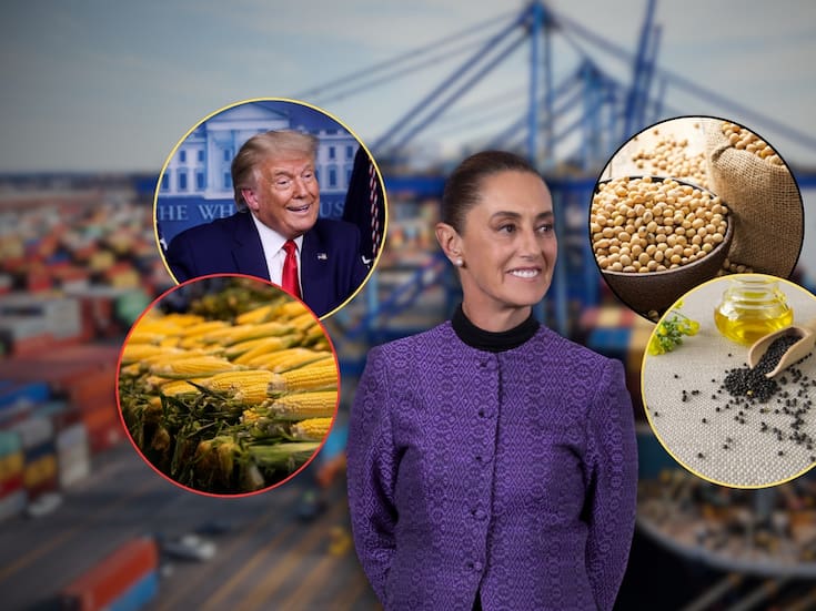Gobierno de Claudia Sheinbaum rompió récord en importaciones de maíz, soya y canola, y analistas advirtieron que ahora hay mayor dependencia alimentaria de EEUU