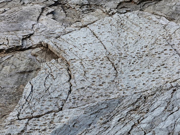 Un fotógrafo descubre decenas de miles de huellas de dinosaurios de hace 210 millones de años en un parque nacional italiano, a pocos kilómetros de la sede de los Juegos Olímpicos de Invierno Milán-Cortina 2026