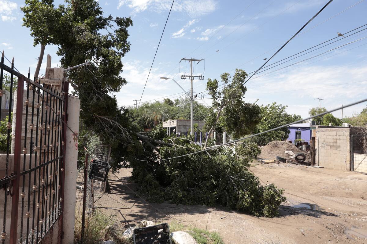 Estas son las precauciones que debes tomar ante una tormenta en Hermosillo
