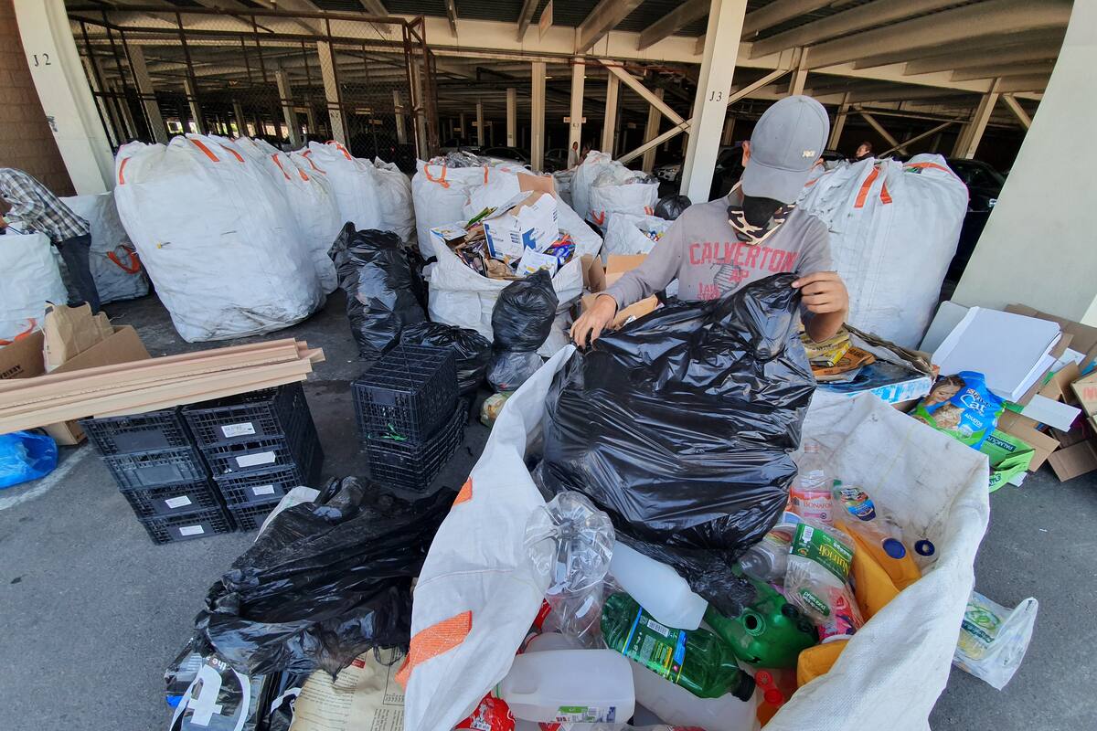Reciben “basura” y a cambio esterilizan a mascotas sin hogar