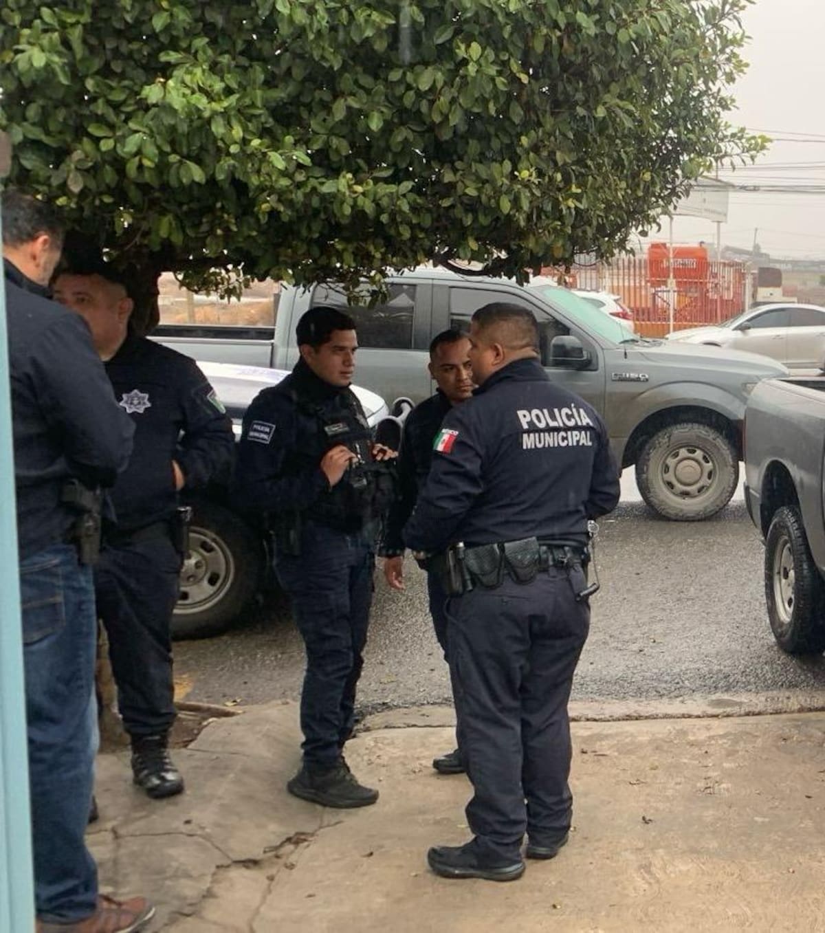 Foto: Carmen Gutiérrez